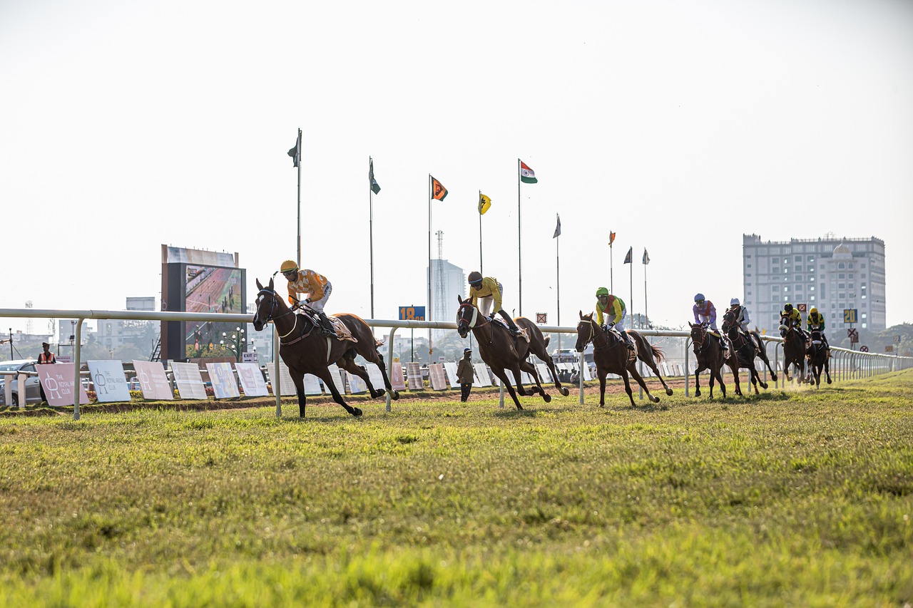 Is Is Betting on Sports Legal in India Today Legal in India? Complete 2026 Guide